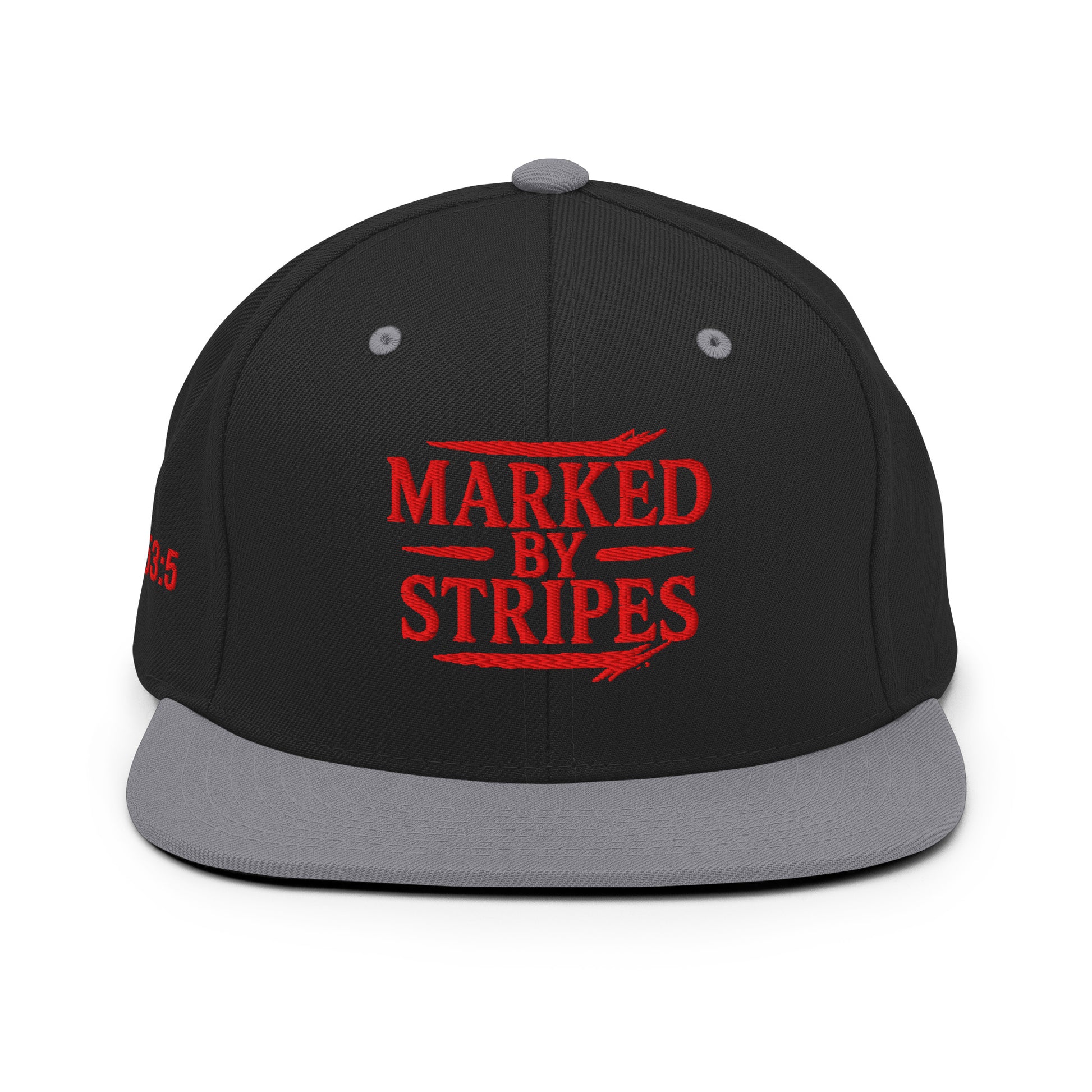 Marked by Stripes Classic Snapback - Black/ Silver - Back View