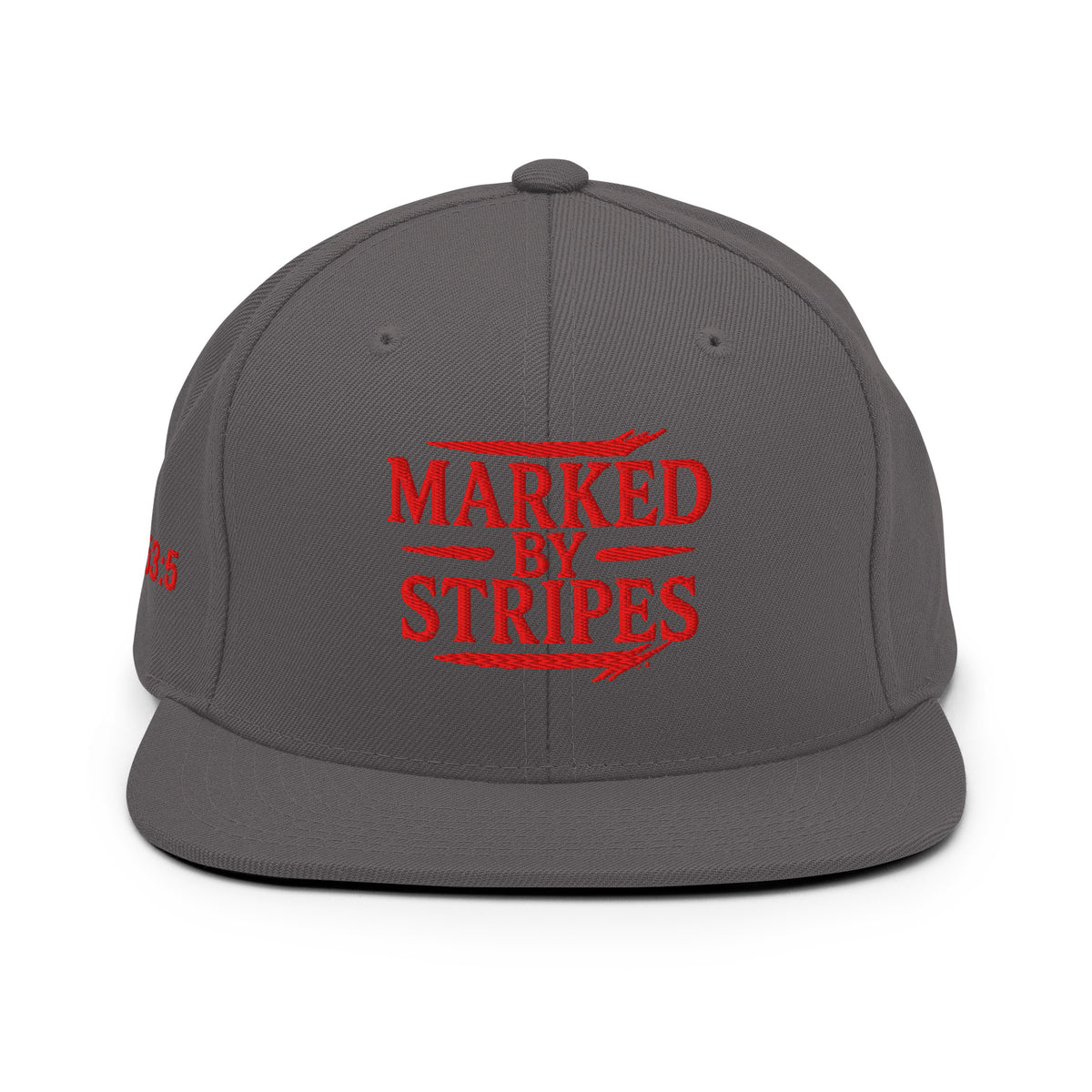 Marked by Stripes Classic Snapback - Dark Grey - Back View