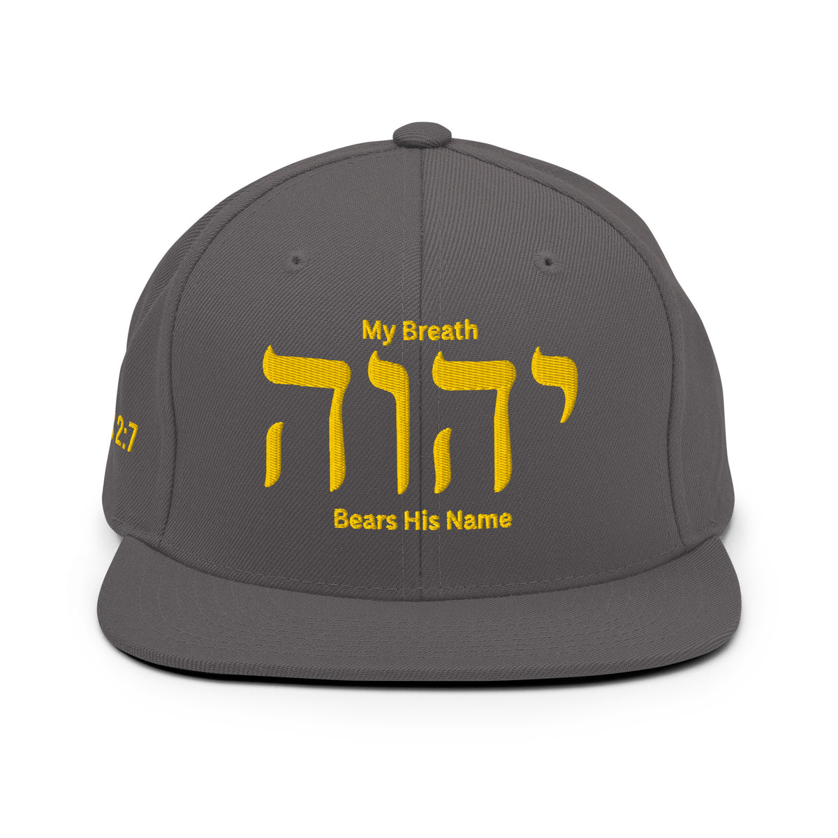 My Breath Bears His Name Classic Snapback - Dark Grey - Back View