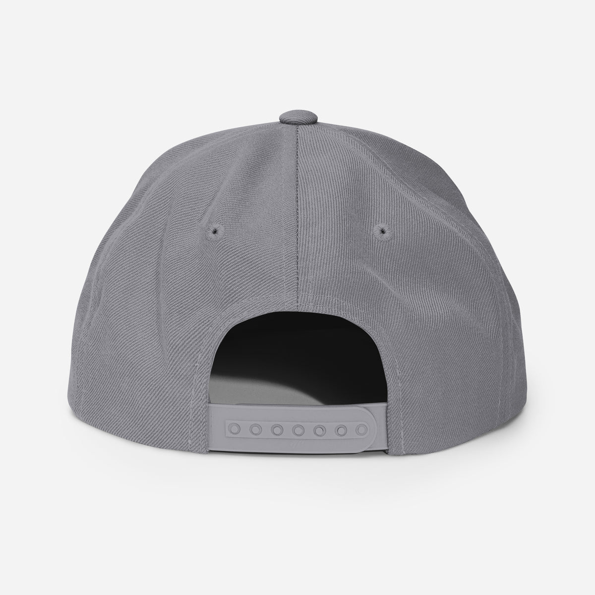 Royalty Classic Snapback - Silver - Back View 2