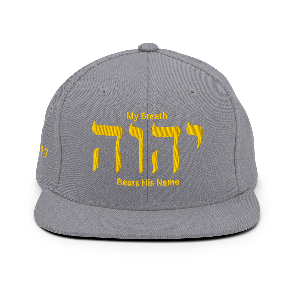My Breath Bears His Name Classic Snapback - Silver - Back View