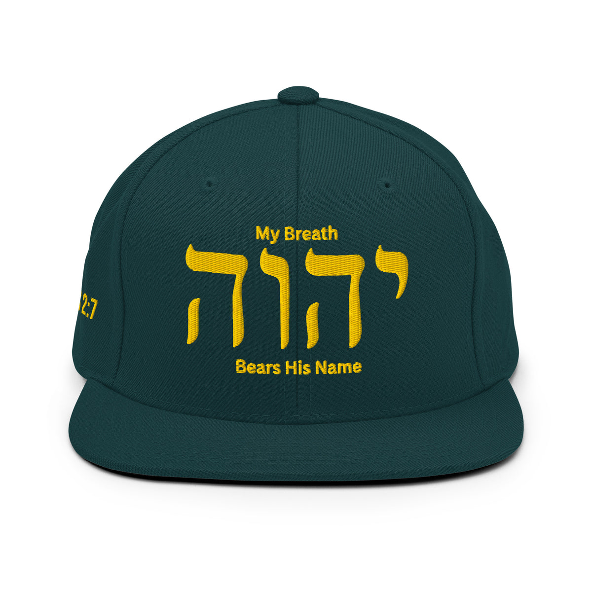 My Breath Bears His Name Classic Snapback - Spruce - Back View 4