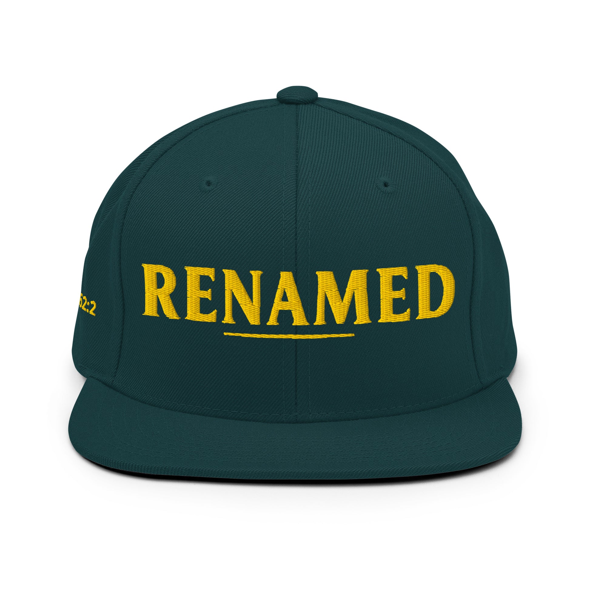 Renamed Classic Snapback - Spruce - Back View 2