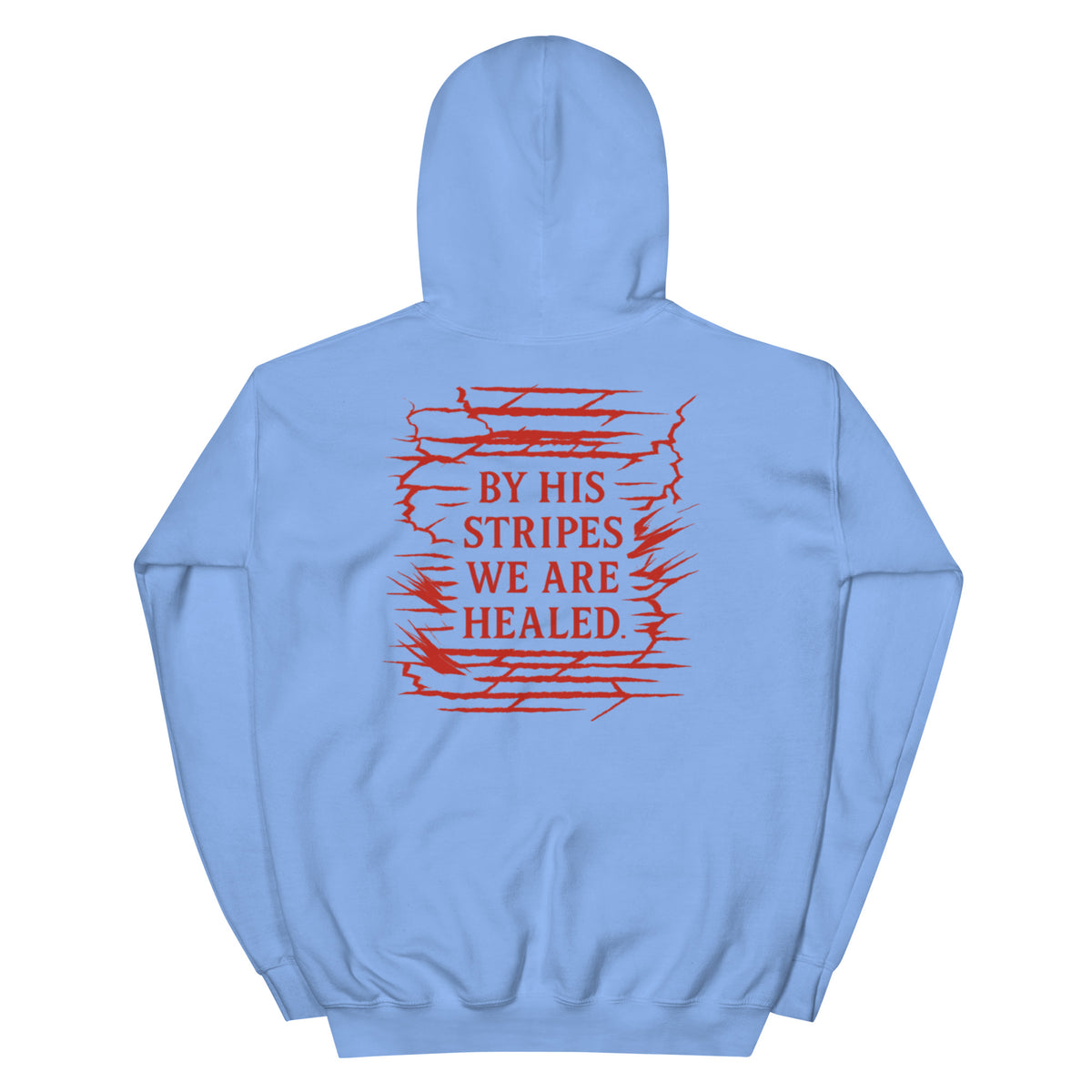 Marked by Stripes Hoodie - Carolina Blue - Back View