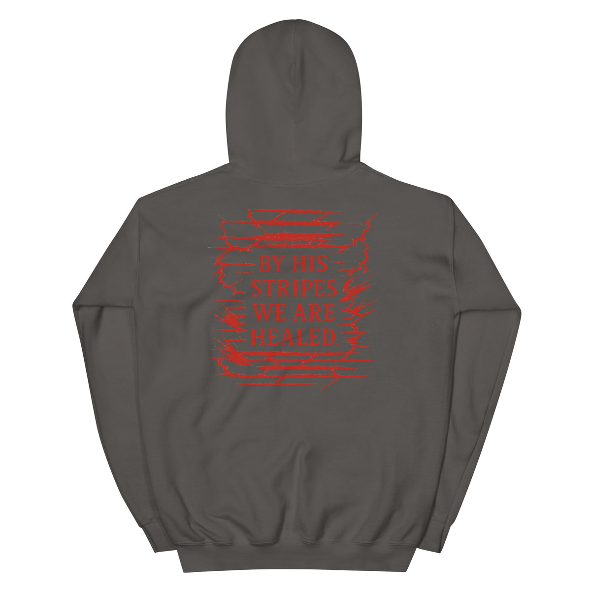 Marked by Stripes Hoodie - Charcoal - Back View
