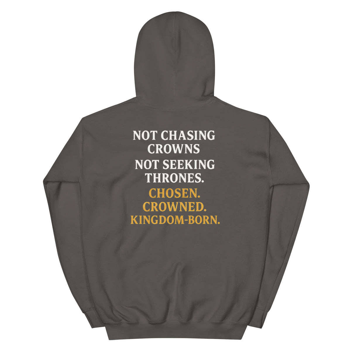 Royalty Hoodie - Charcoal - Back View 2