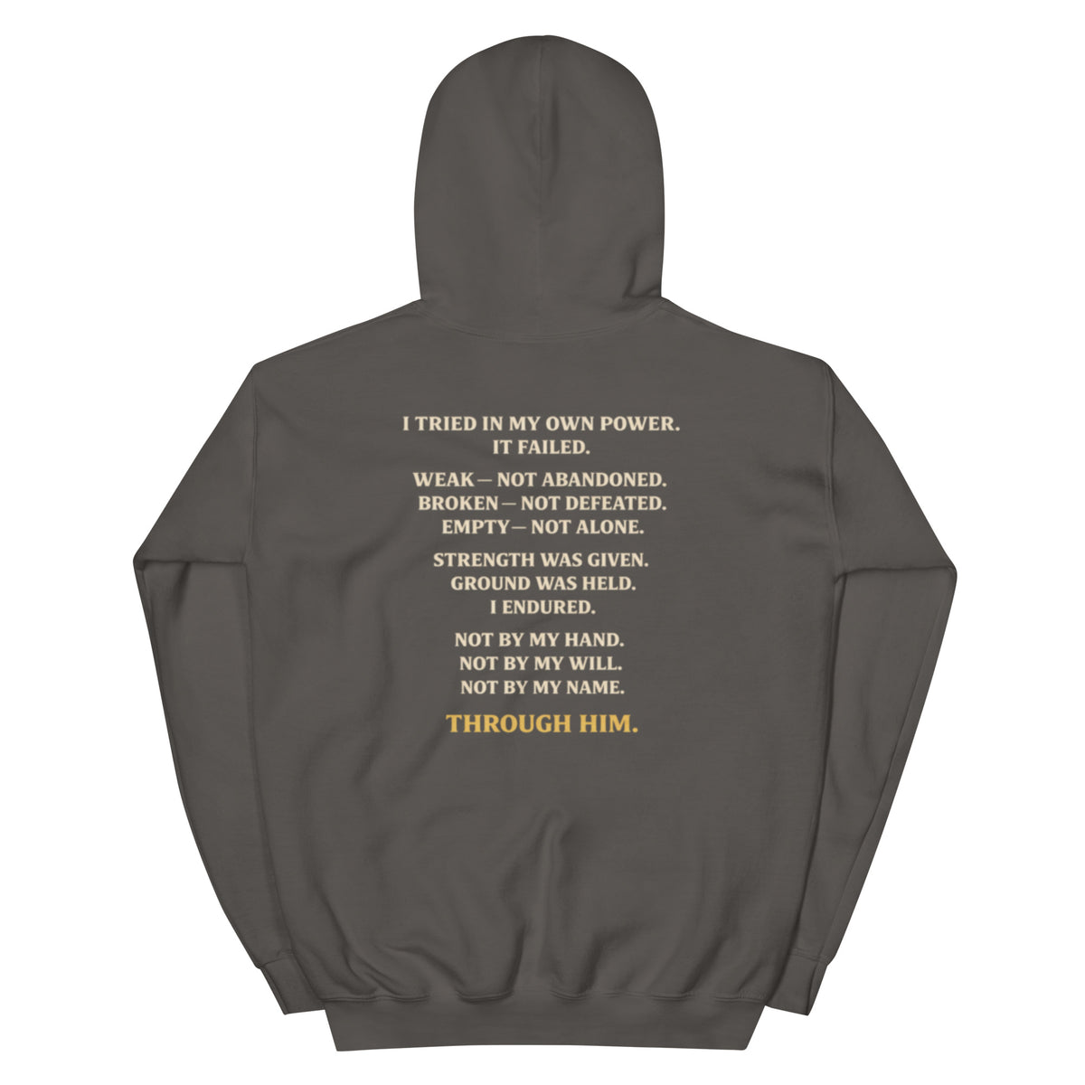 Through Him Men's Hoodie - Charcoal - Back View 2
