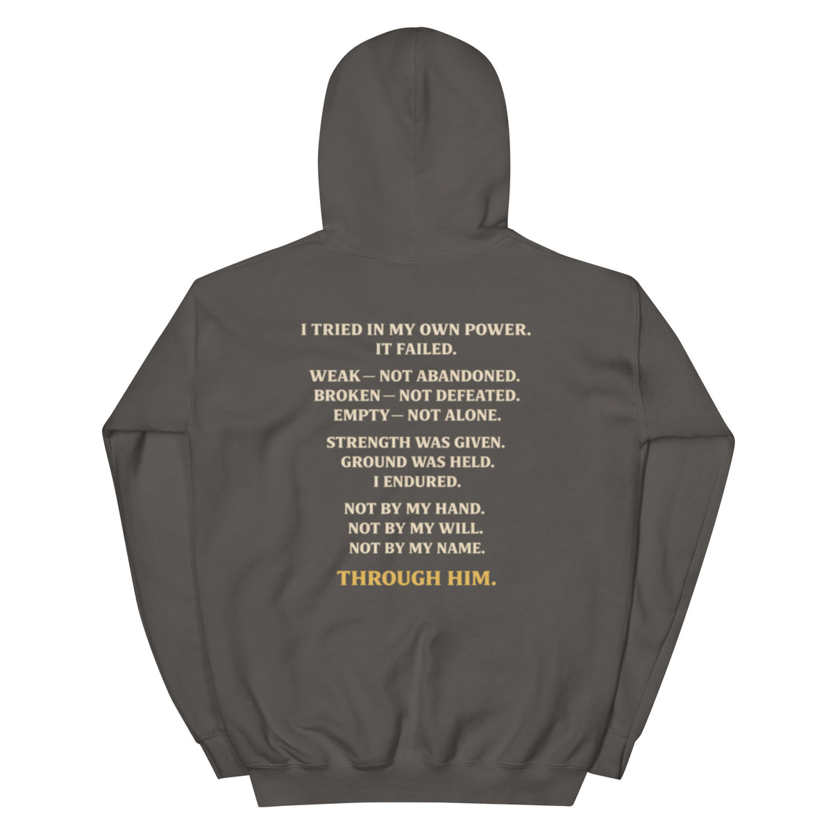 Through Him Women's Hoodie - Charcoal - Back View