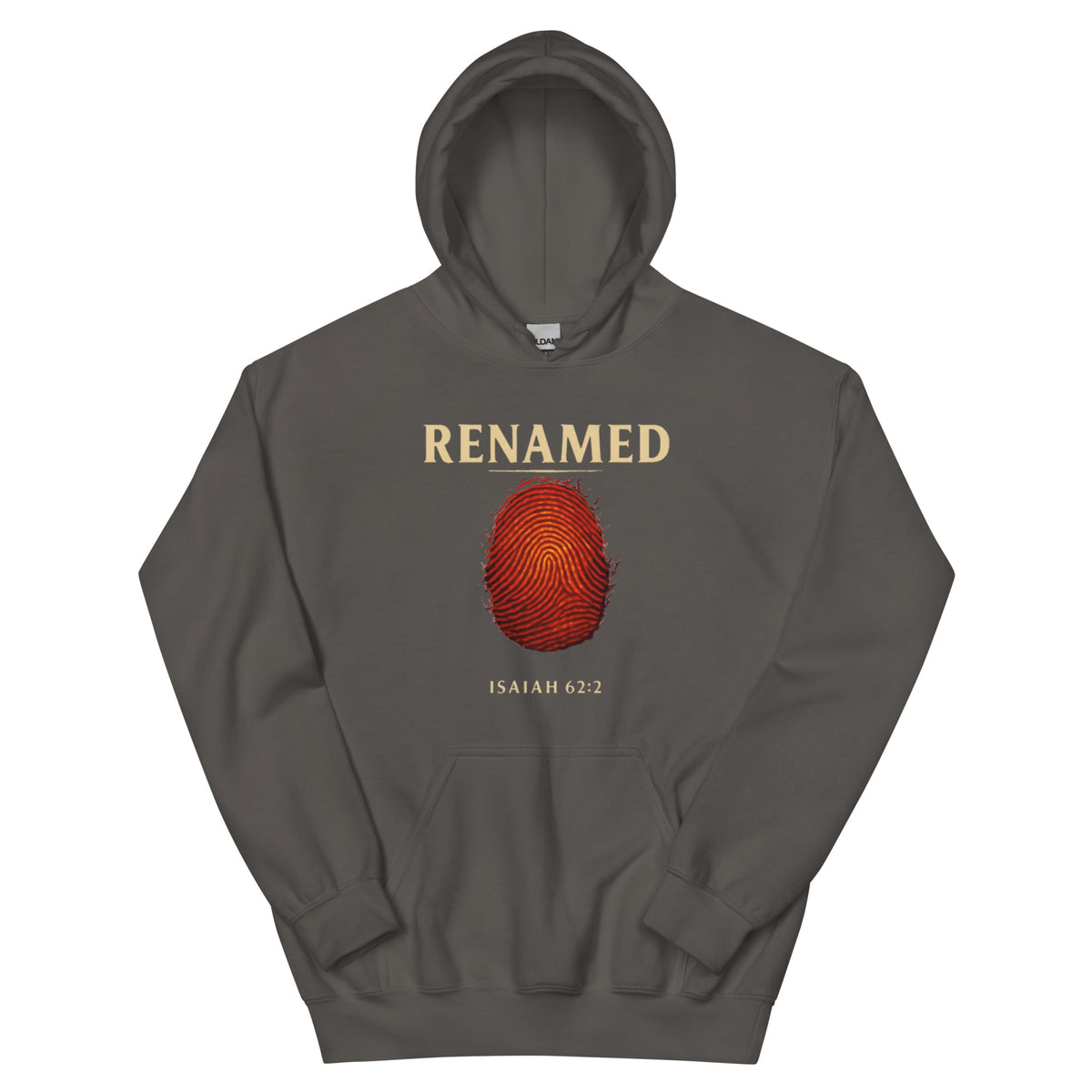 Renamed Hoodie - Charcoal - Front View