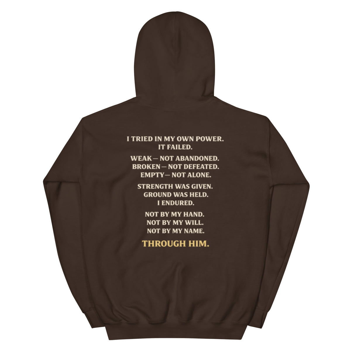 Through Him Women's Hoodie - Dark Chocolate - Back View