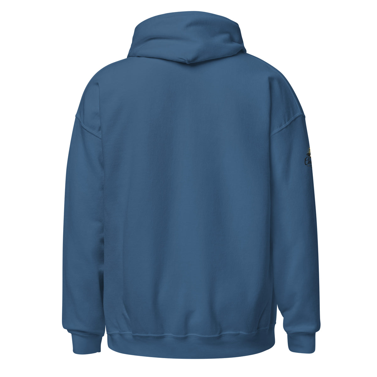 Men's Iron Sharpens Iron Hoodie - Indigo Blue - Back View