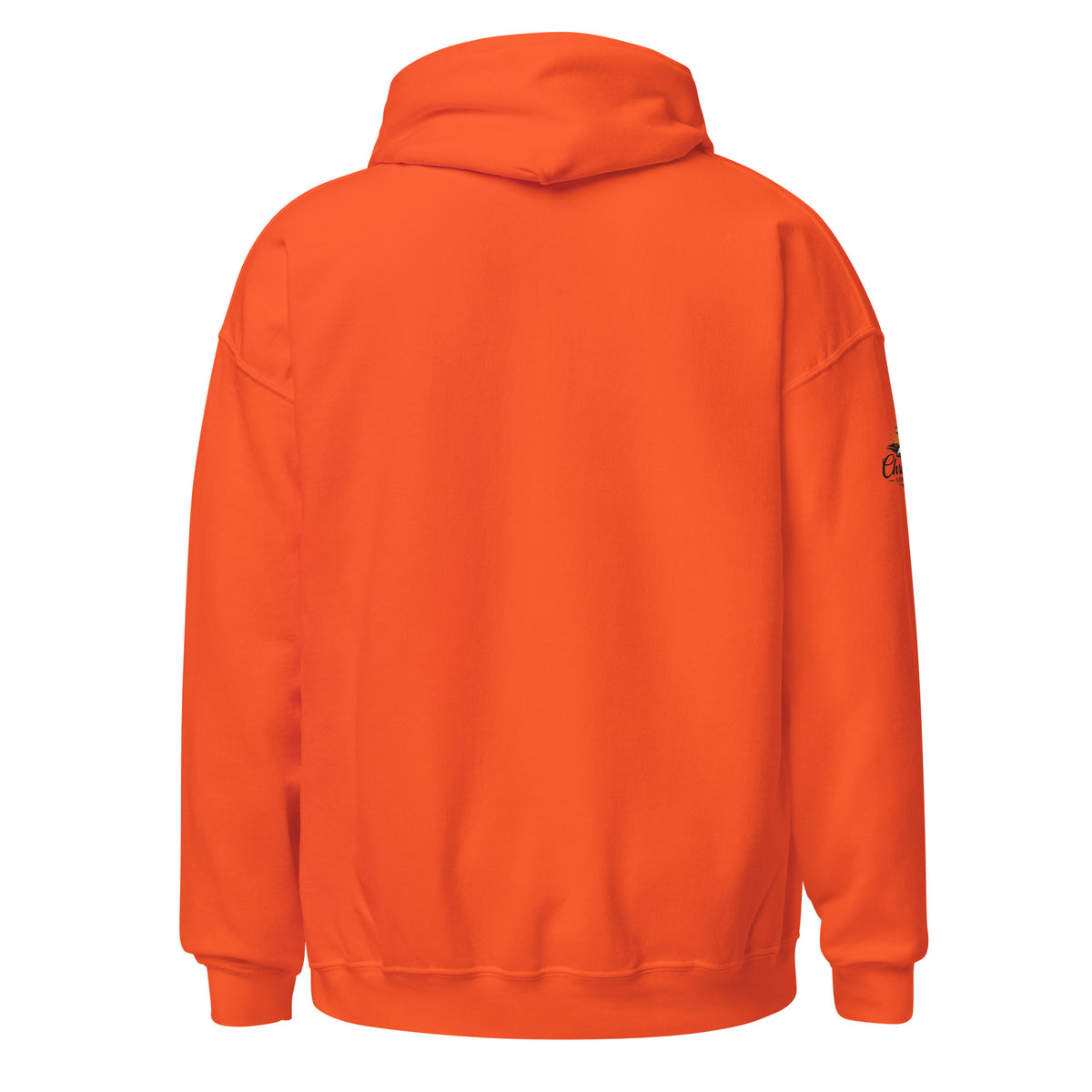 Men's Iron Sharpens Iron Hoodie - Orange - Back View