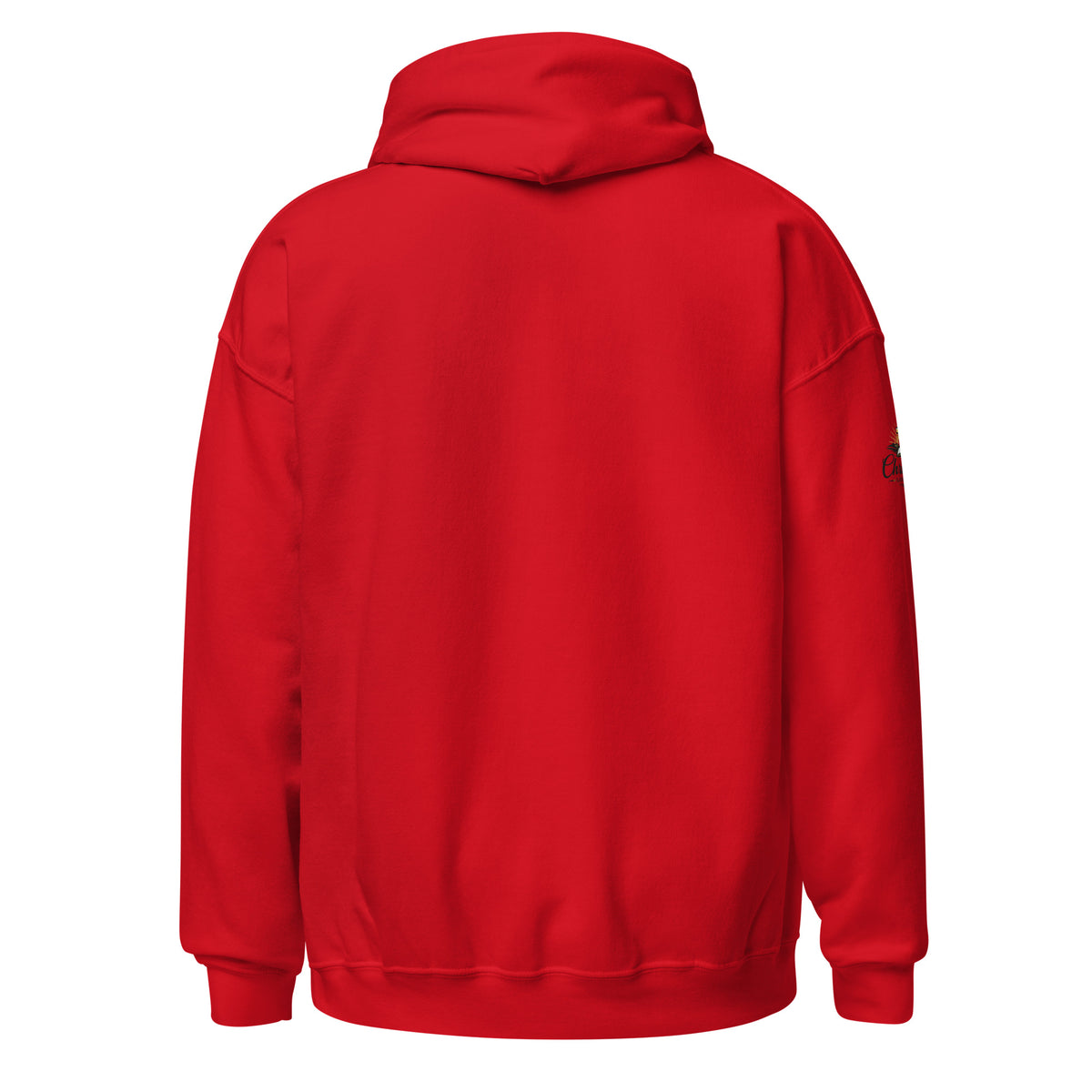 Men's Iron Sharpens Iron Hoodie - Red - Back View