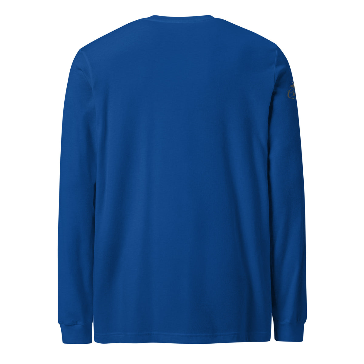 Men's Iron Sharpens Iron Long Sleeve Tee - True Royal - Back View 2
